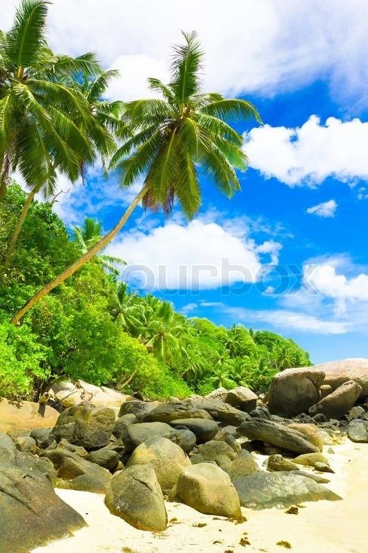 Gallery For Natural Beauty Wallpapers For Mobile