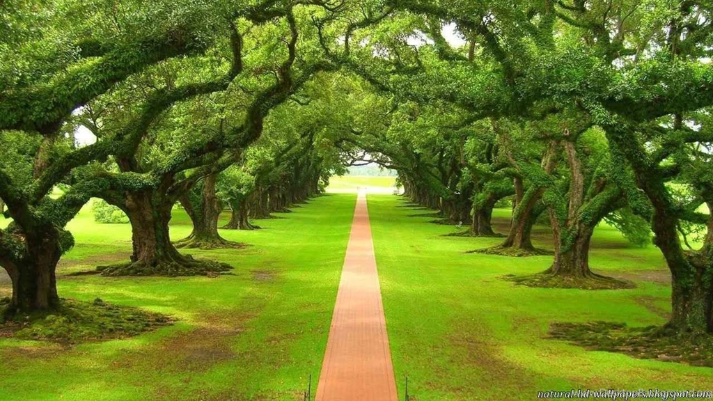 Gallery For Natural Beauty Wallpapers For Mobile