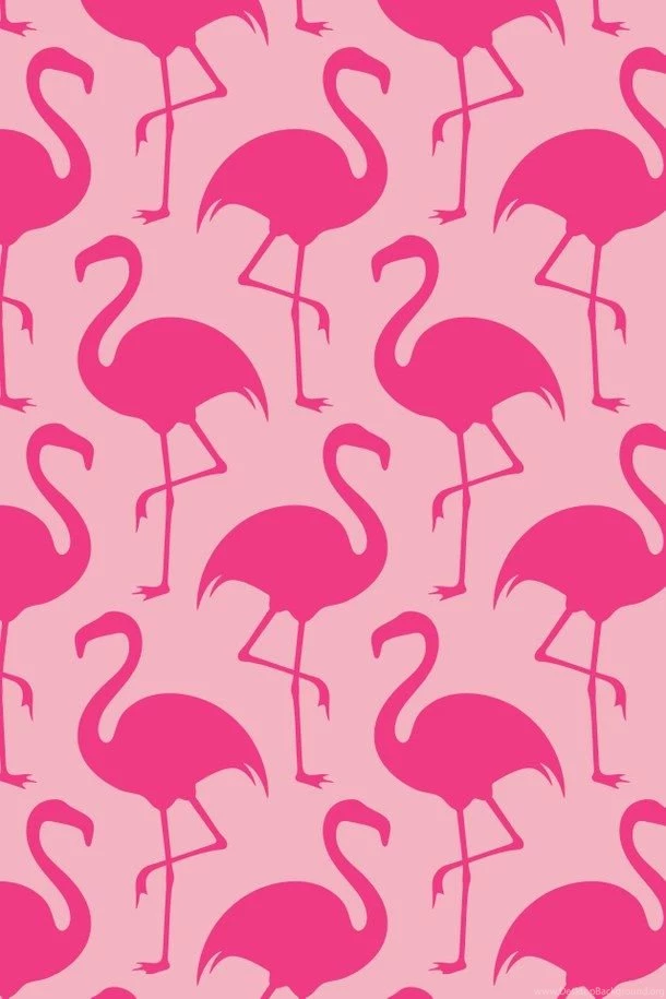 Flamingo, Pink, Wallpapers Image