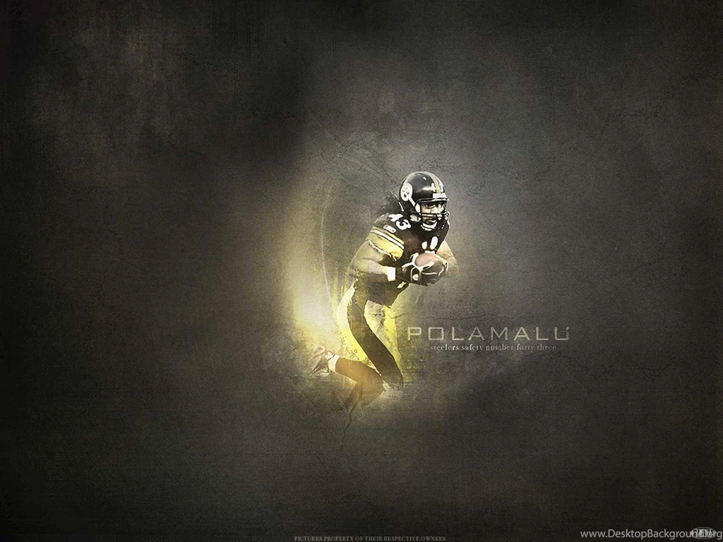 Troy Polamalu Wallpapers Pittsburgh Steelers Wallpapers 1280x800 ...