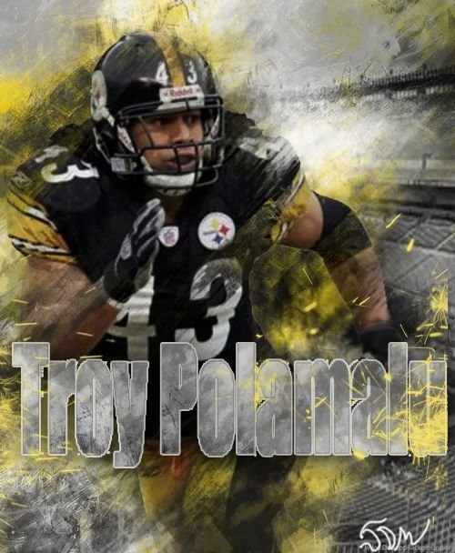Troy Polamalu Madden Custom Cover By RushLightInvader On DeviantArt