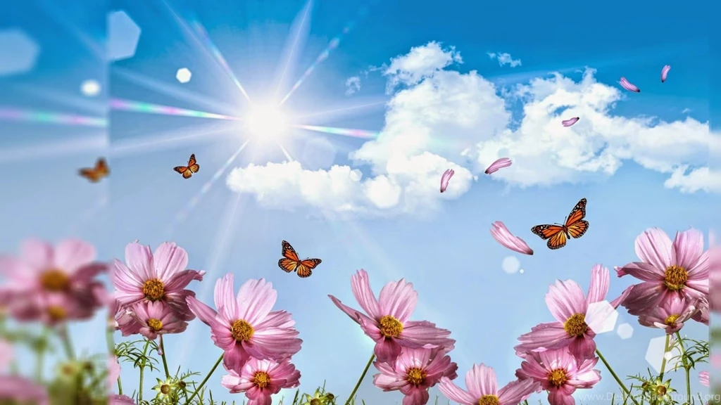 Pictures Of Flowers For Desktop Backgrounds Wallpapers Cave