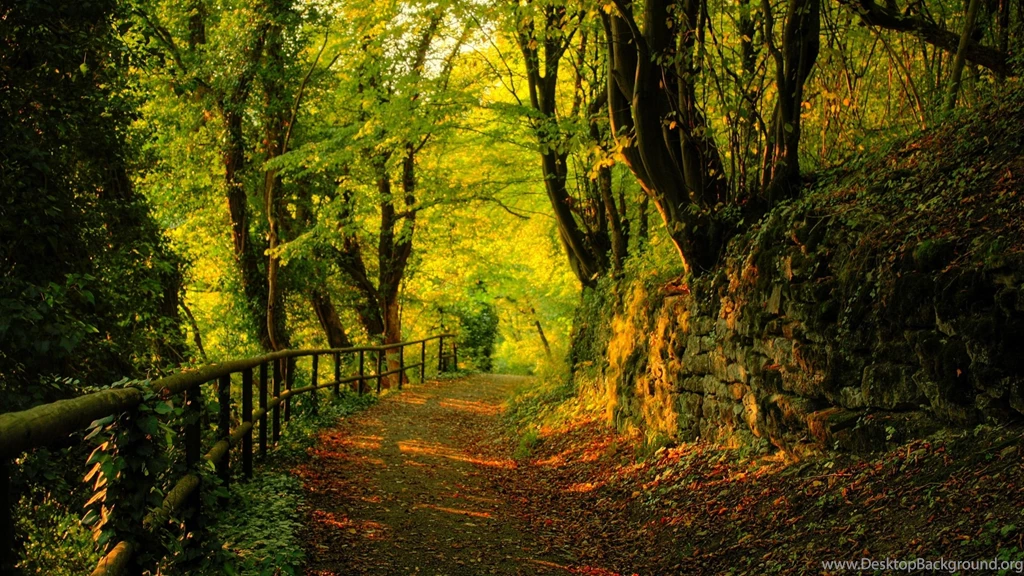 Nature Photography Wallpapers Hd