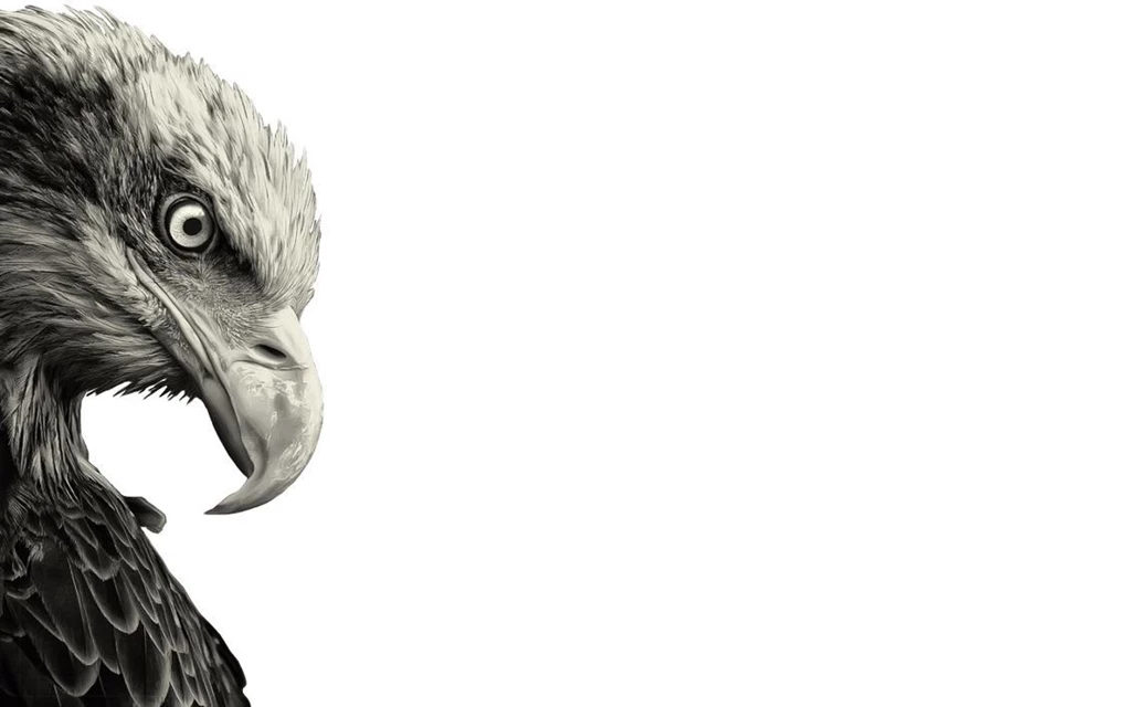 Eagle_wallpaper___13___macbook_pro_by_muchofunk d4hqlze.jpg