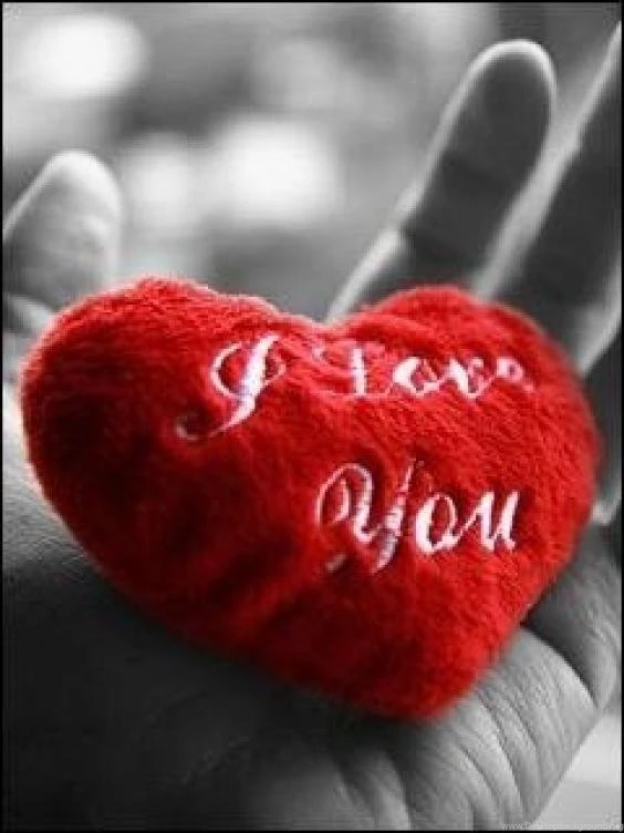 True love wallpapers