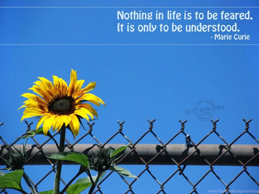 Quotes About Life Wallpapers