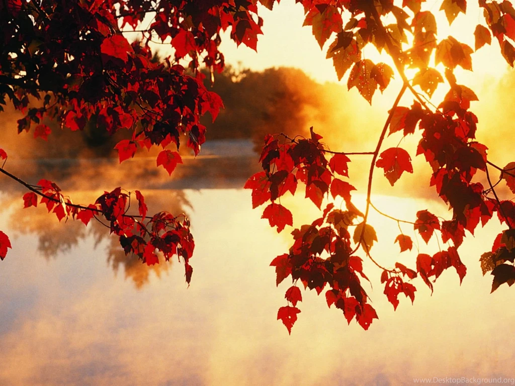 Wallpapers Fall Wallpapers HD Base