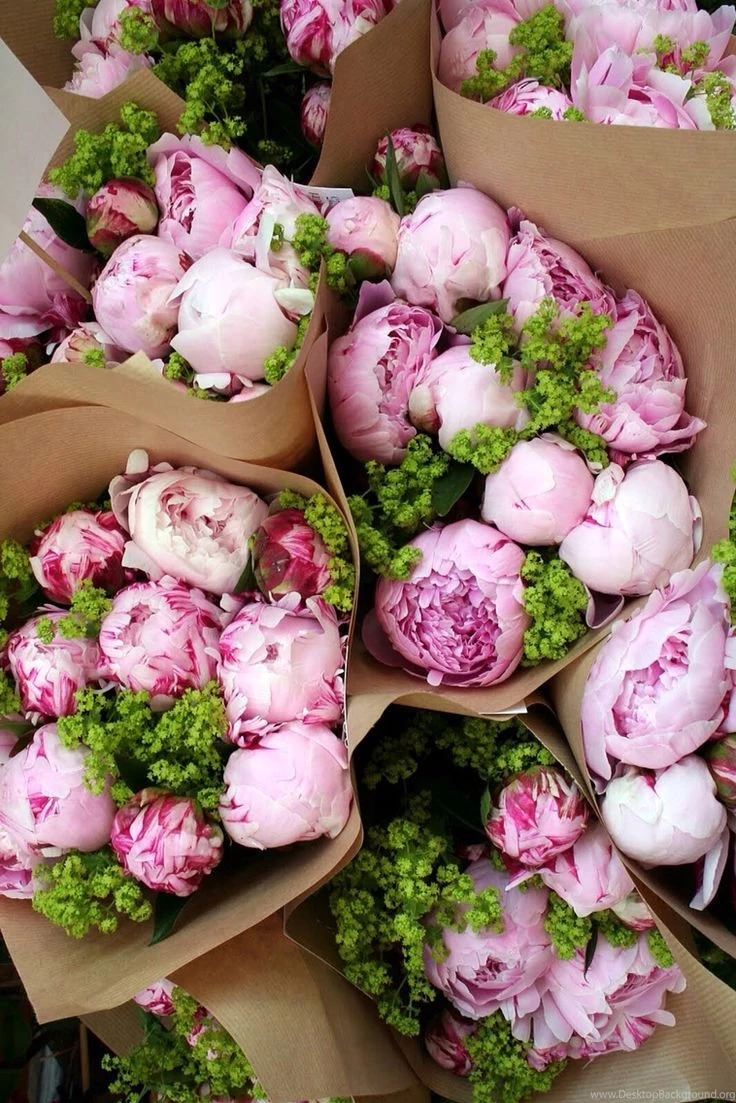 Wallpapers On Pinterest