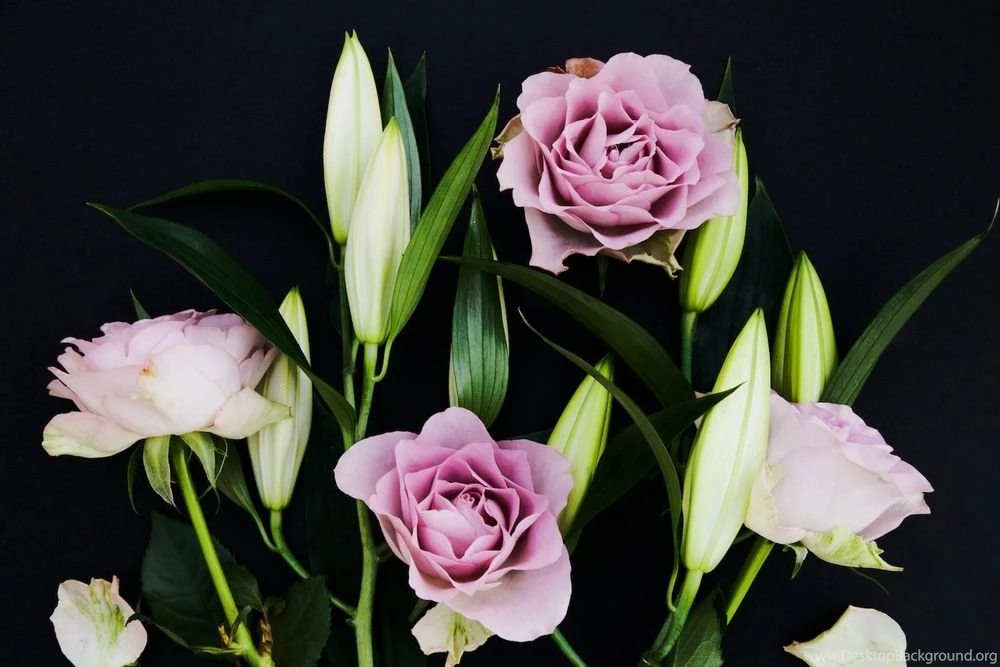 Mother's Day Flowers And Free Phone Wallpapers Featuring Debenhams ...