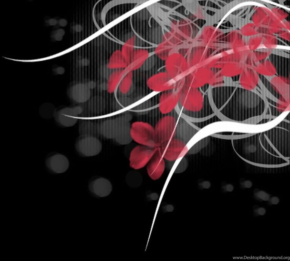 Black White Floral Wallpapers HD Wallpapers Lovely