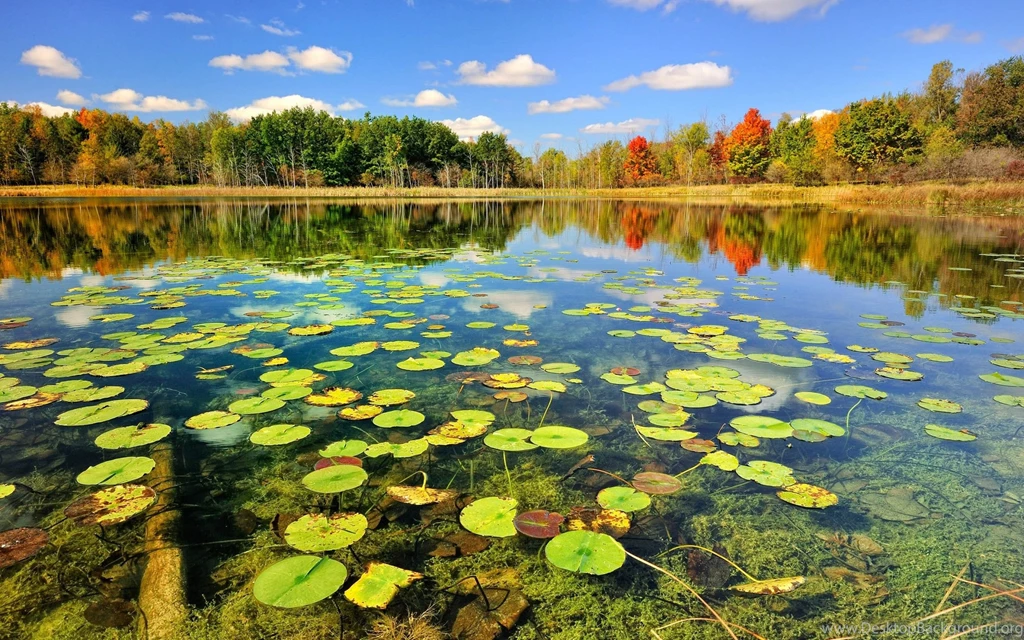 Autumn Lake HD Wallpapers