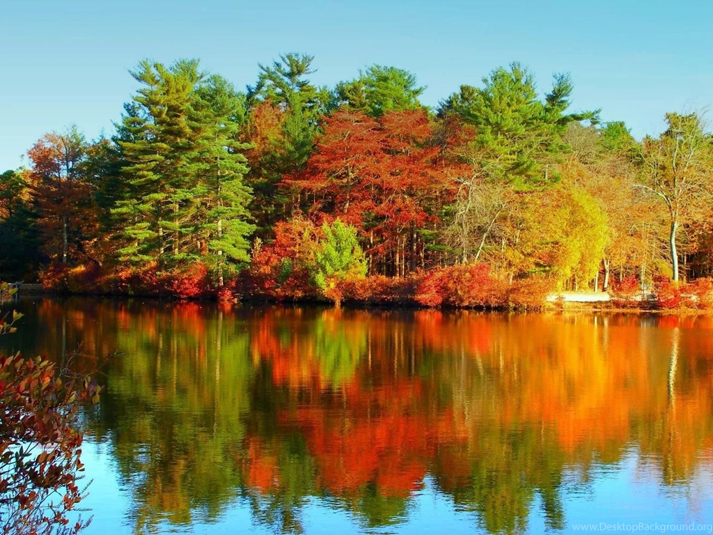Autumn Lake Wallpapers 1600x1200 877652