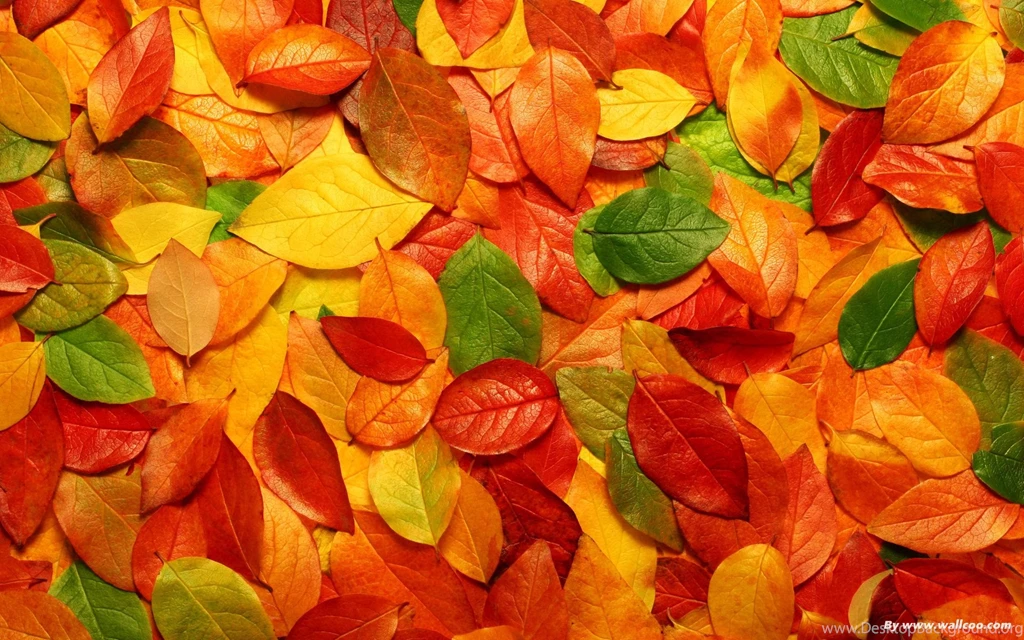 Beautiful Windows 8 Wallpapers Desktop.Wallpaperchanel.com