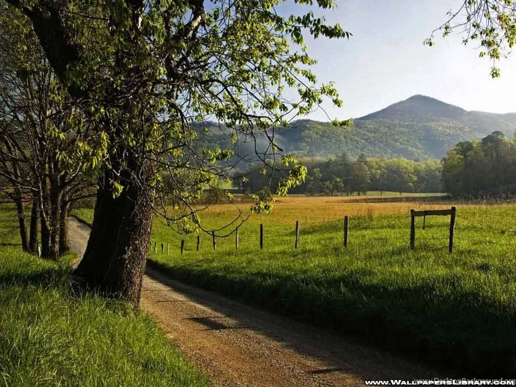 Spring Lanscape HD Desktop Wallpapers 7596 HD Wallpapers Site