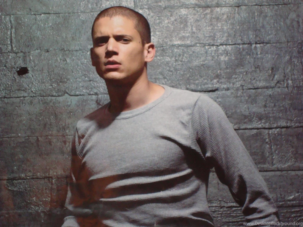 Wentworth Miller Fanpop Girls Wallpapers (12470219) Fanpop