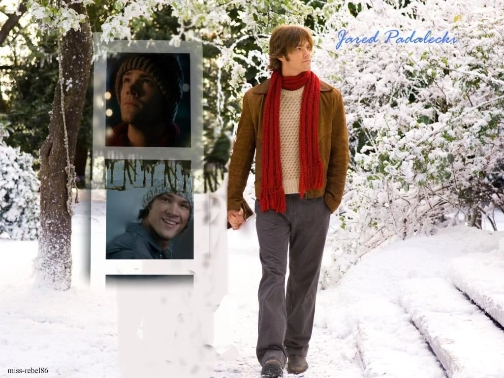 Jared Wallpapers Jared Padalecki Wallpapers (3203019) Fanpop