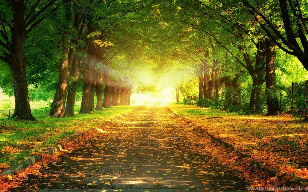 Good Morning Welcome Wishes Best HD Wallpapers