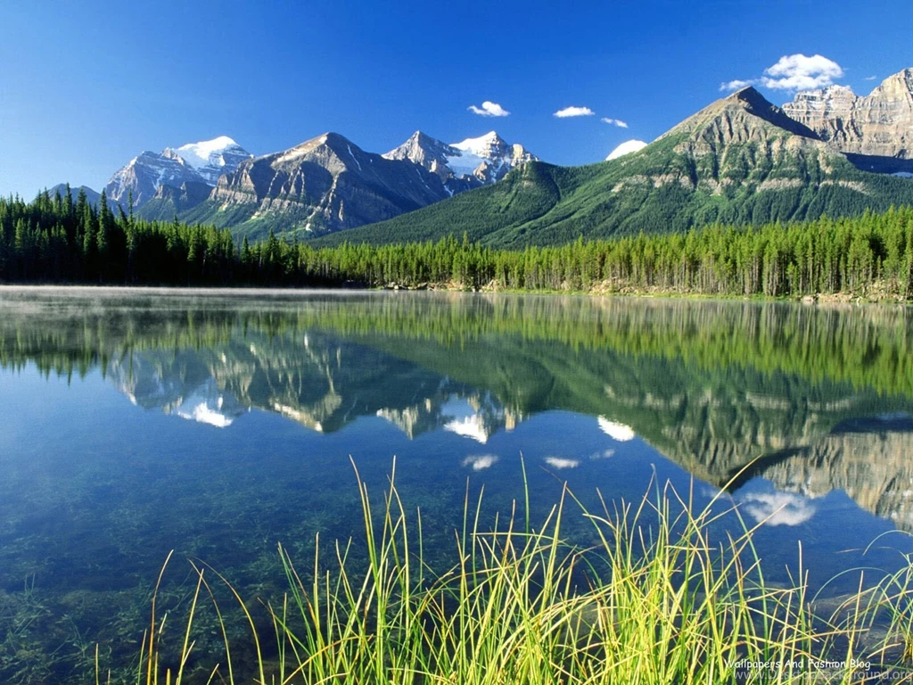 High Definition Wallpapers 1 Best Wallpapers Collection