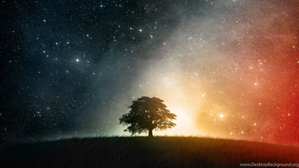 Artistic Wallpapers