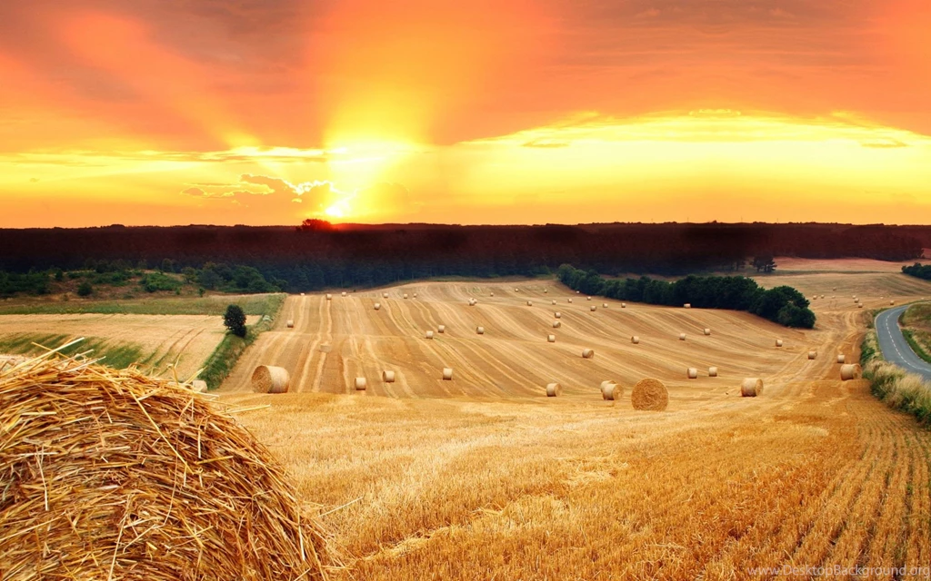 Summer Field Hay Sunset Wallpapers