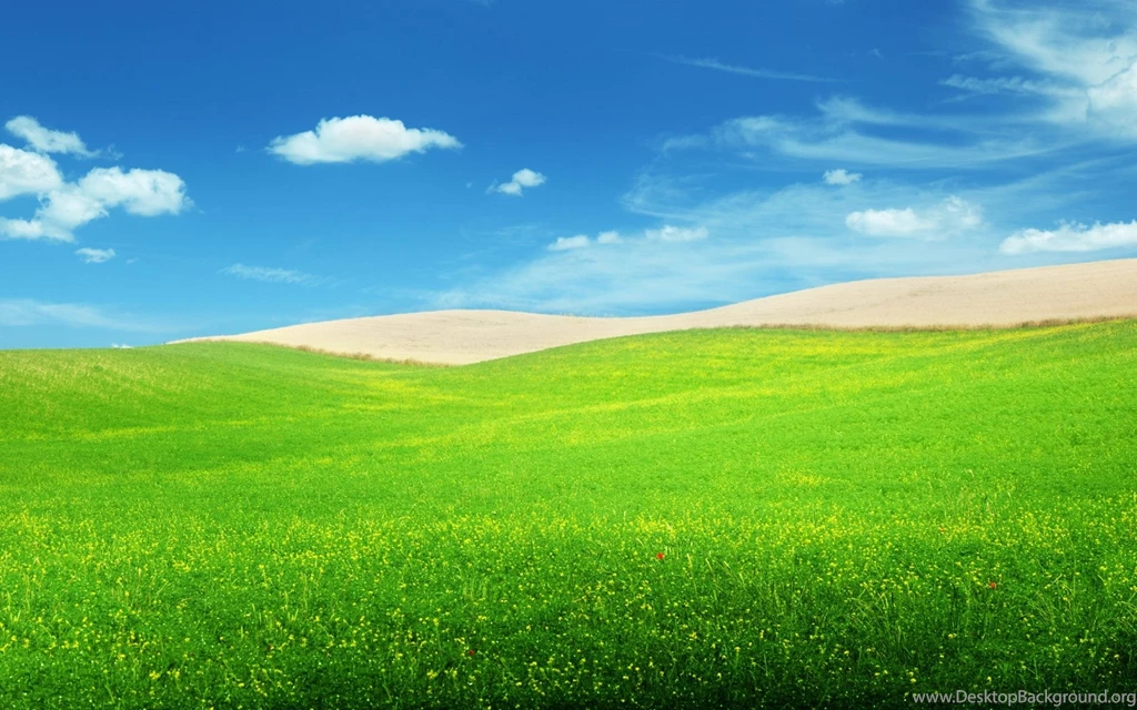 Windows 8 Backgrounds Wallpapers 170060