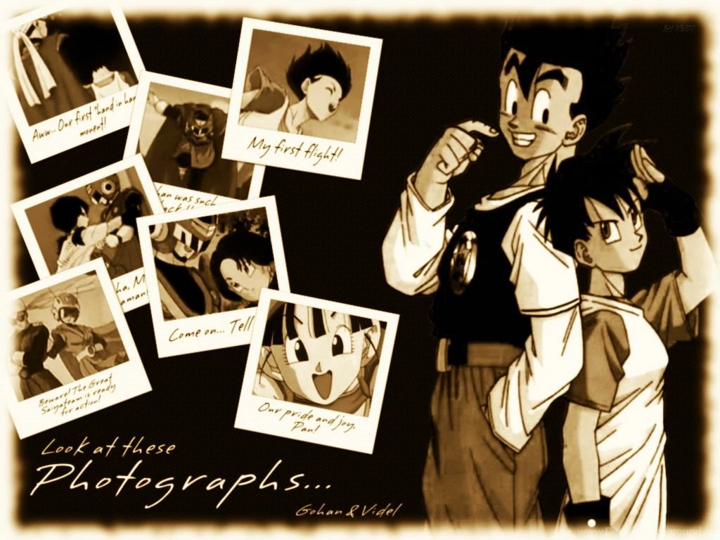 Dragon Ball Series Gohan And Videl Favourites By AnimeLover56789 ...