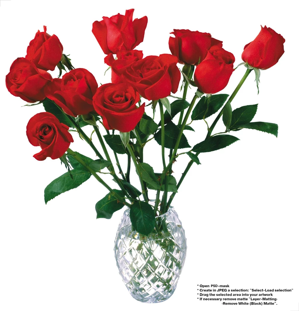 High resolution Photo Flowers 23313 Flowers Photo Flowers