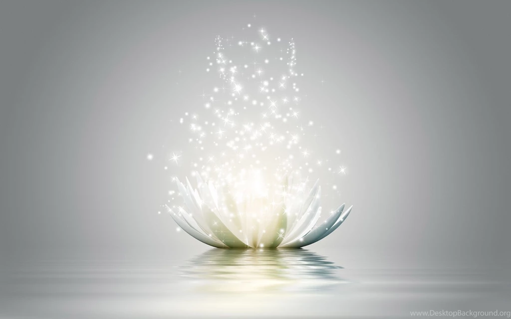 50 Beautiful Flower Wallpaper Images For Download