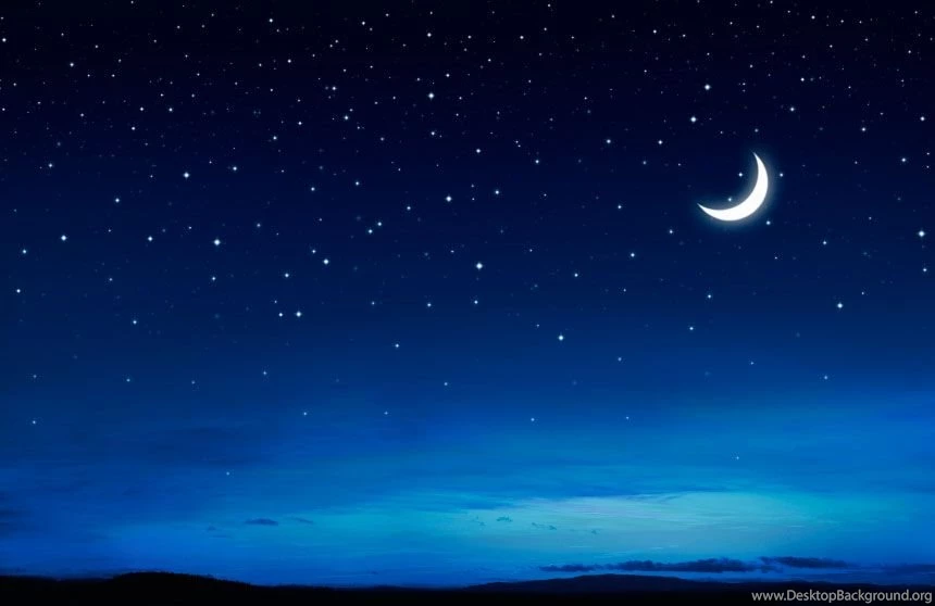 Branding Printing Graphic & Website Design Christchurch New Zealand