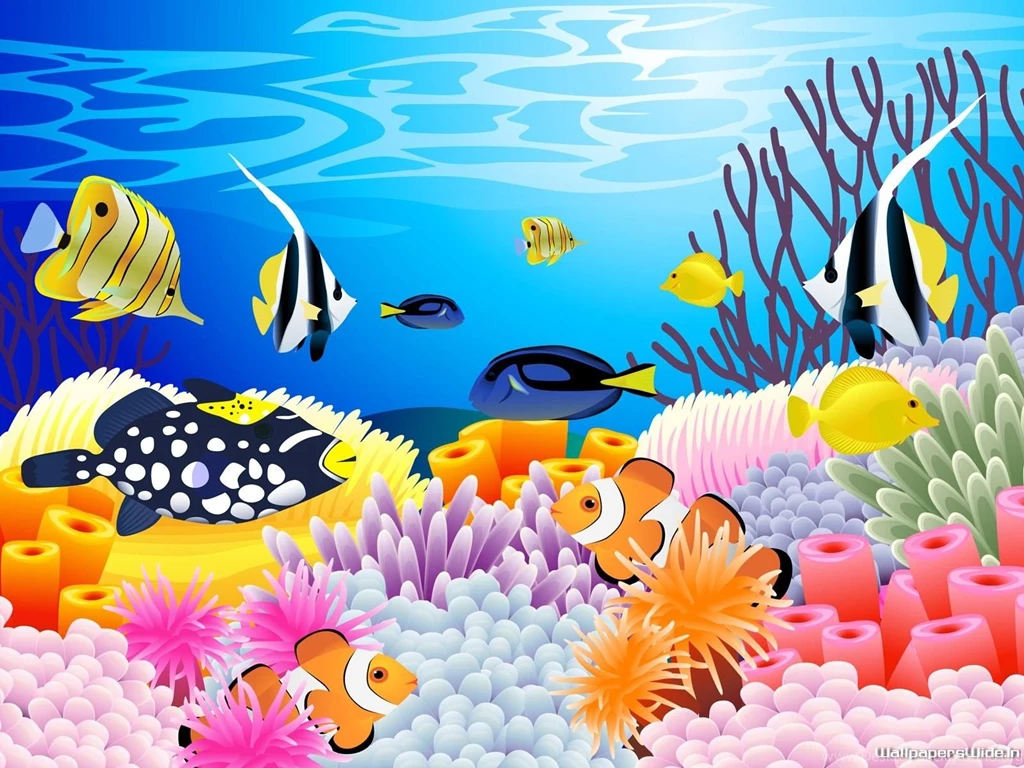 Underwater Ocean Sea Color Tropical Coral Reef Wallpaperswide ...