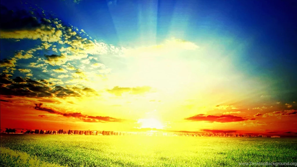 3 HOURS Relaxing Music