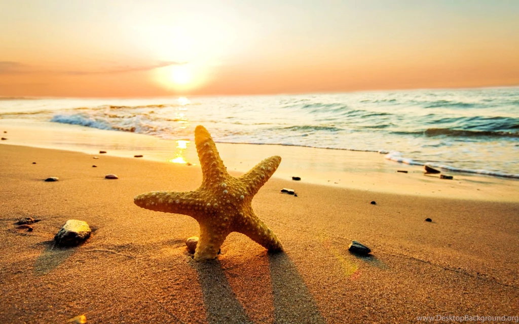 Starfish on the beach at sunset wallpaper.jpg