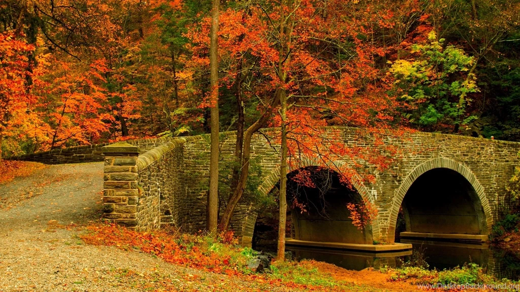 Nature Road Leaves Trees Forest Park Bridge Colorful Path Autumn ...