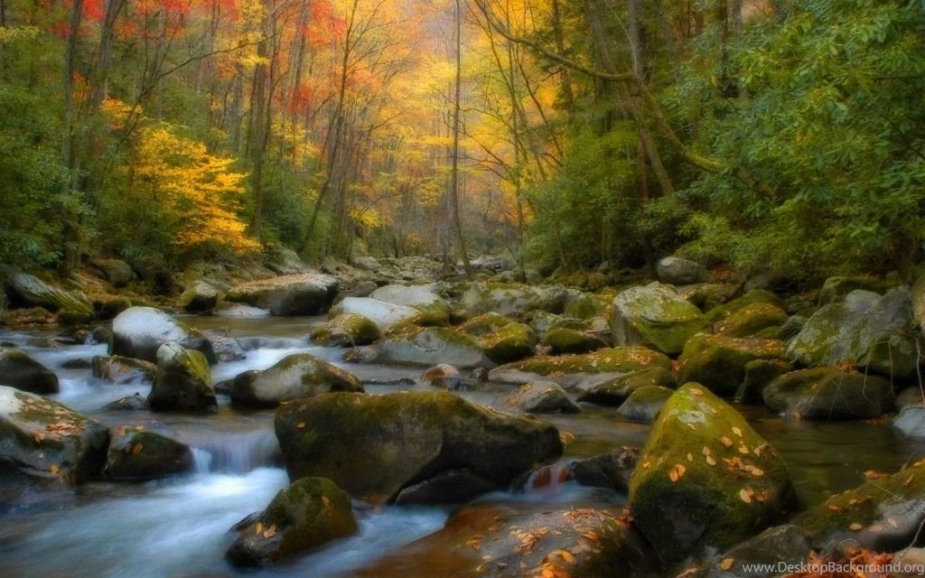 30 BREATHTAKINGLY BEAUTIFUL NATURE WALLPAPERS