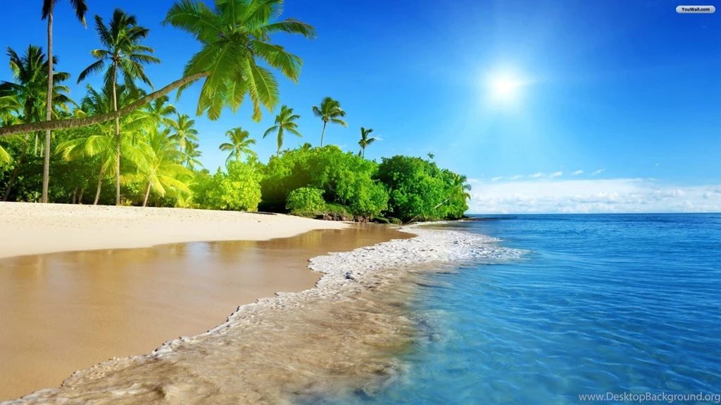 YouWall Tropical Beach Corner Wallpapers Wallpaper,wallpapers ...