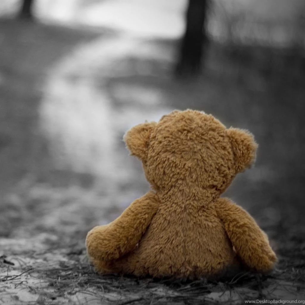Teddy Bear In The Wood iPad Wallpapers Download