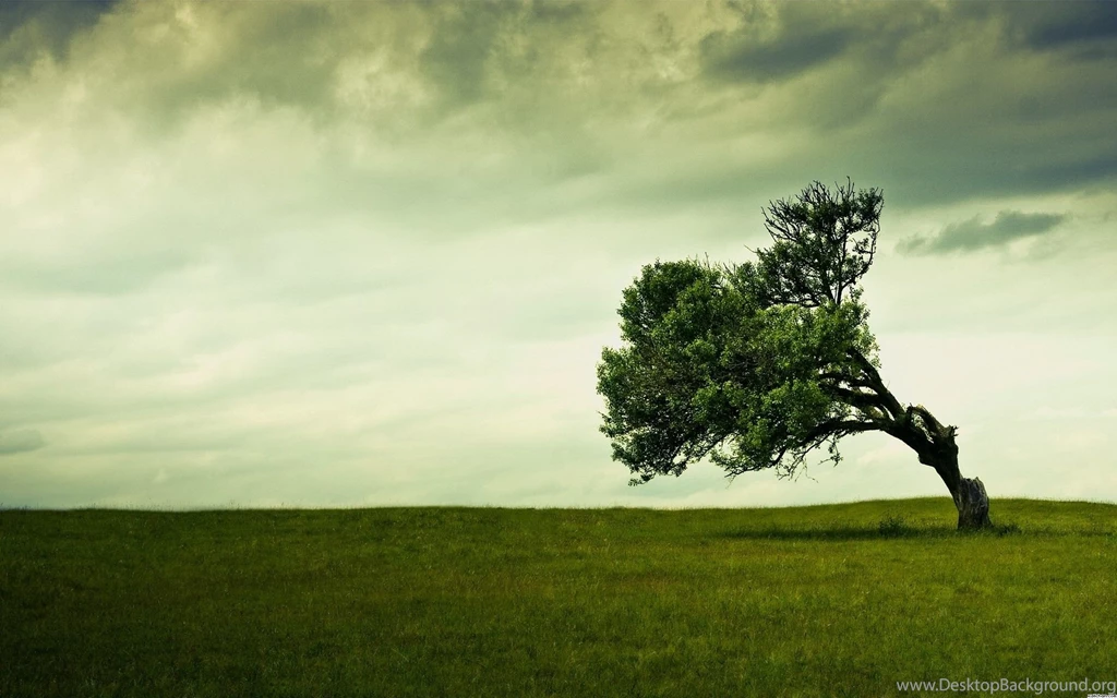 Scenery, Wallpaper, Sandbox, Beautiful, Natural, Plants, Scene ...