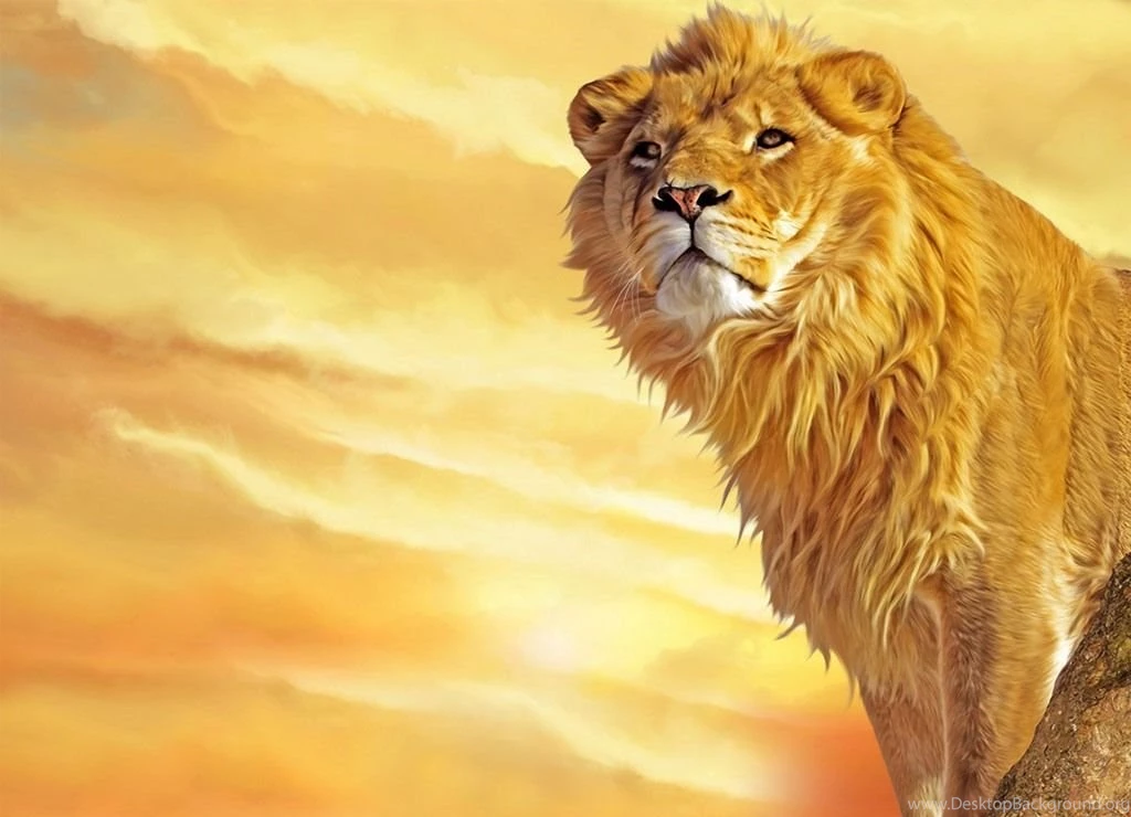 Desktop animal wallpapers all free download.jpg