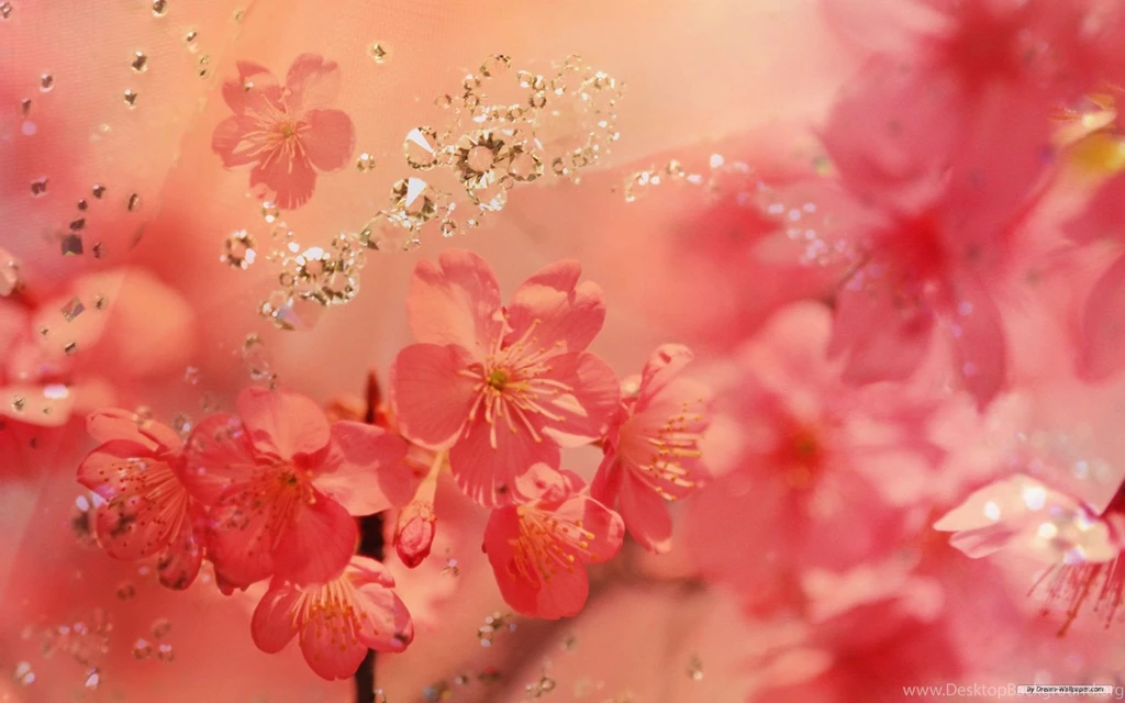 Background Images Of Flowers HD Wallpapers Lovely