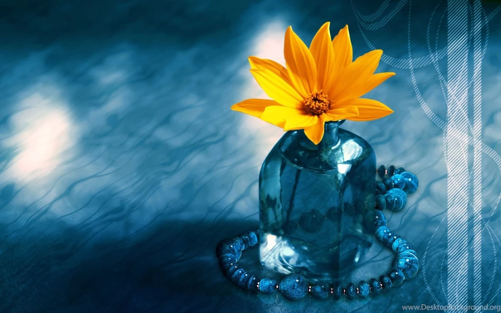 Amazing Wallpapers For PC