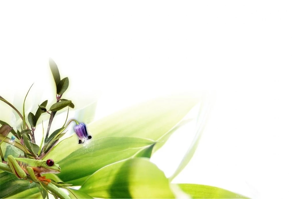 Beautiful Wallpapers Design Wallpapers HD Base