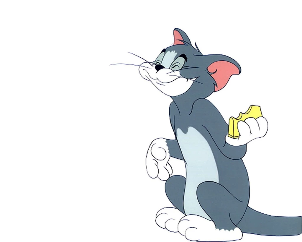 Cartoon Pictures Of Tom And Jerry Widescreen HD Wallpapers