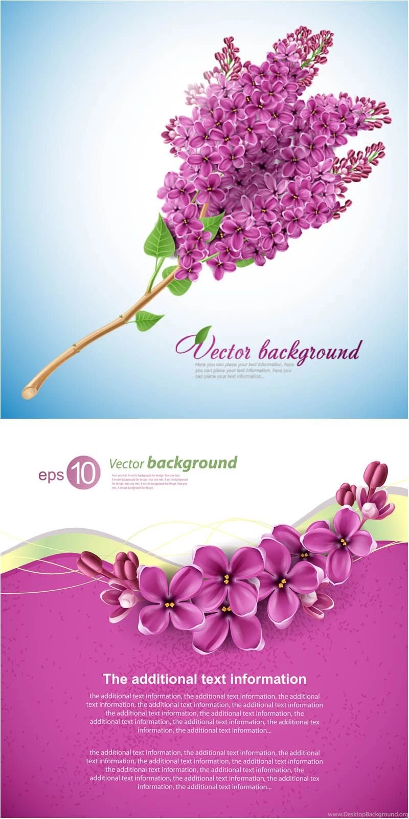 Lilac Flower Vector Backgrounds