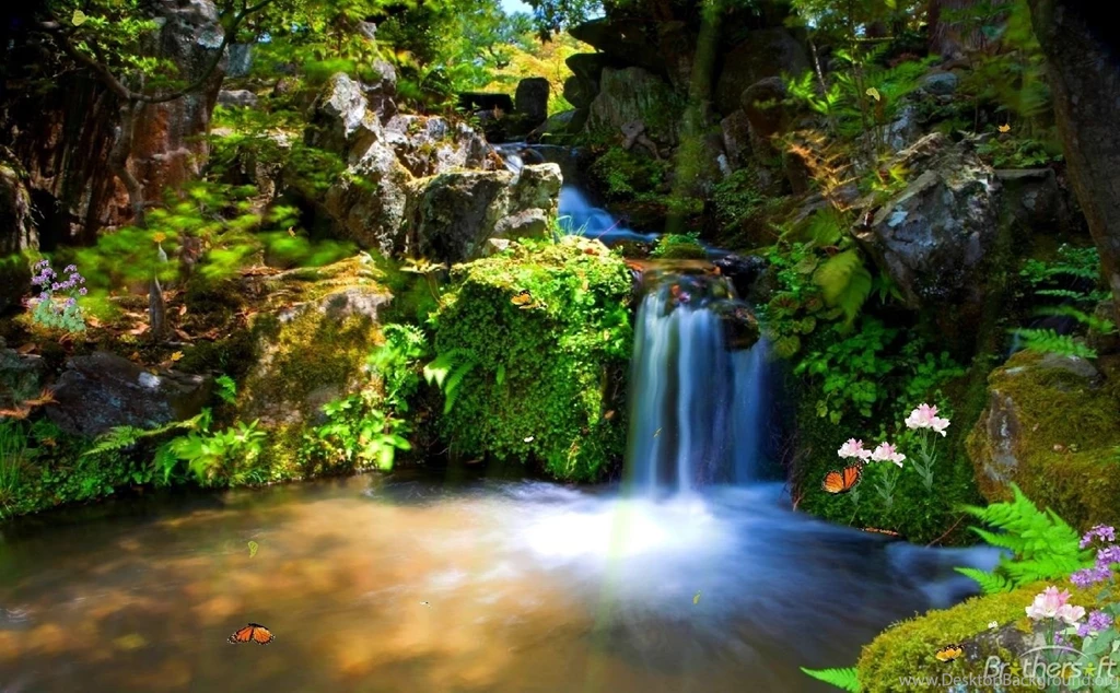 Animated Wallpapers For Android 64419 HD Pictures
