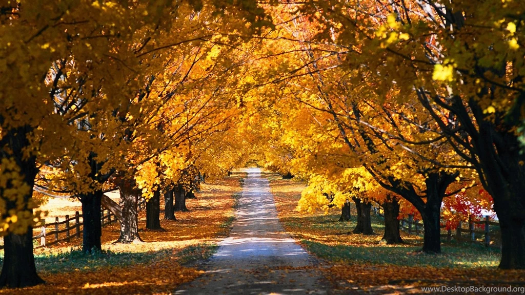 Country Road In The Fall Wallpapers Free Wide HD Wallpapers