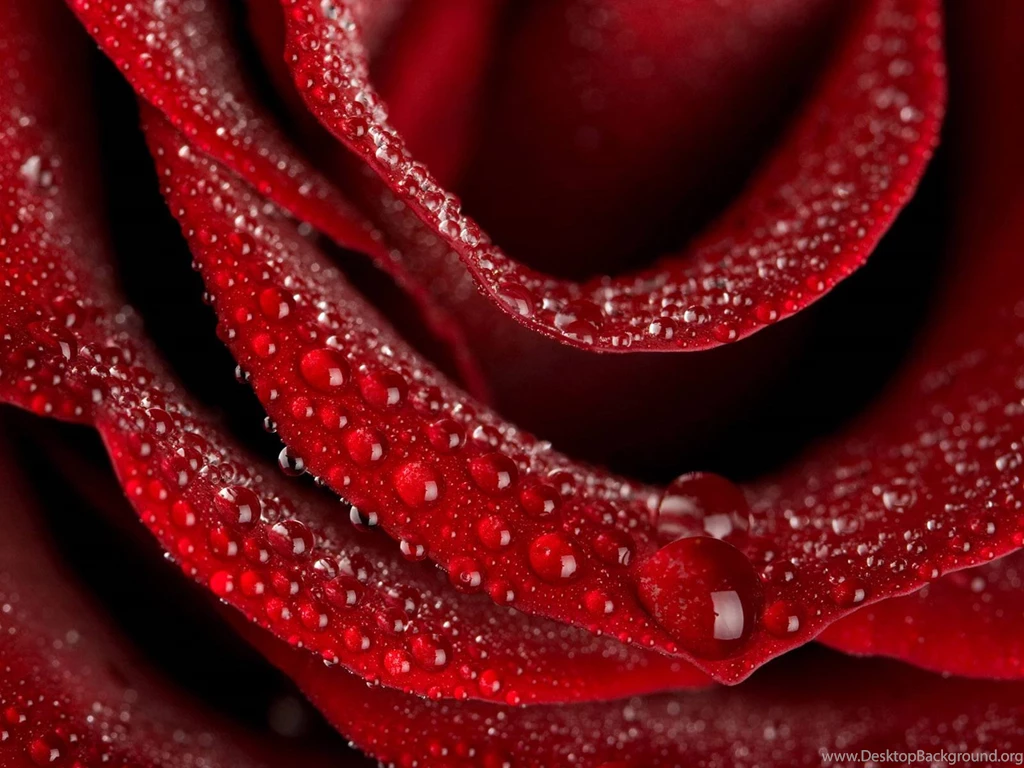 Pretty Backgrounds Wallpapers