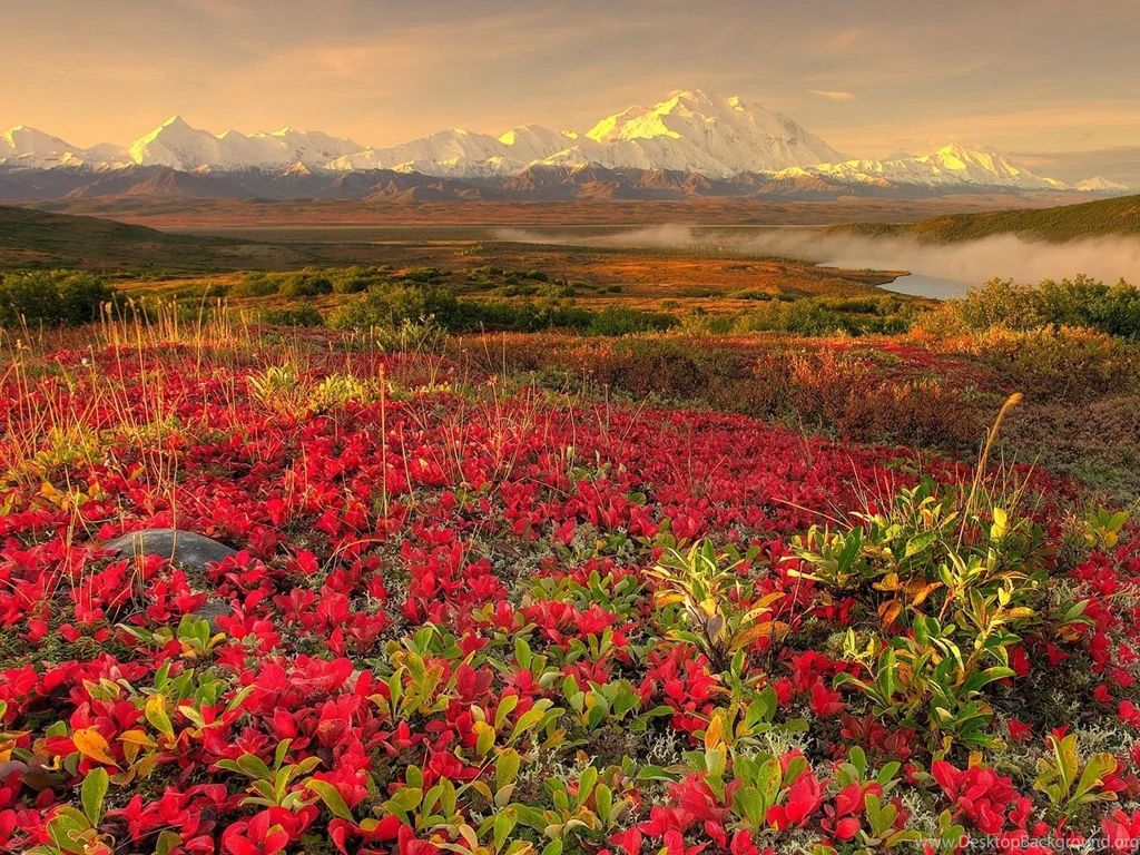 Spring landscape widescreen wallpapers for backgrounds
