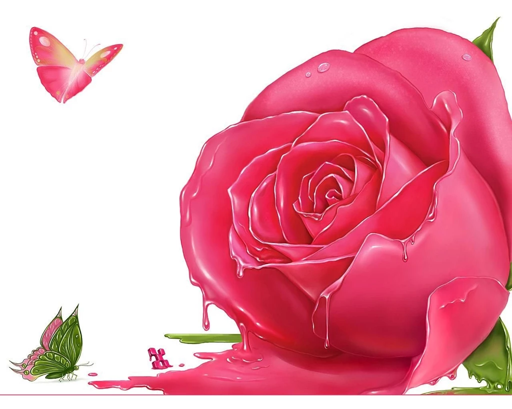 Pink Rose Wallpapers