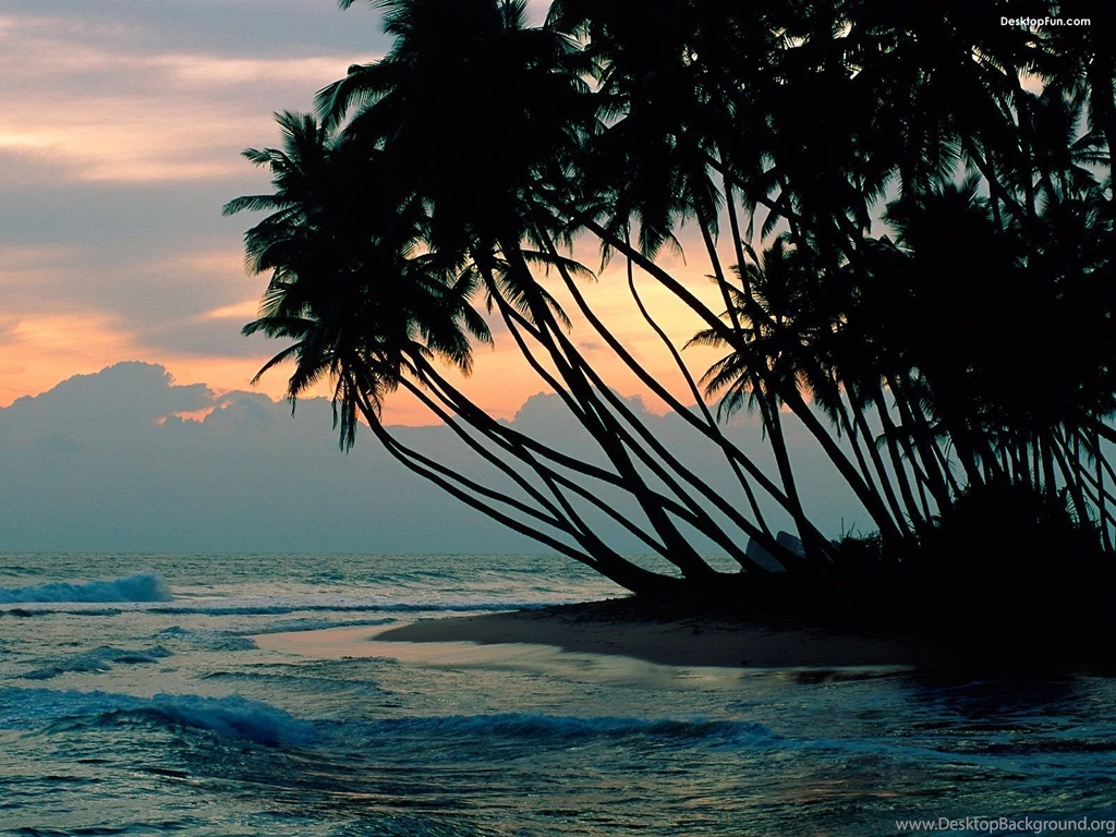 Middle East Packages Tour Sri Lanka