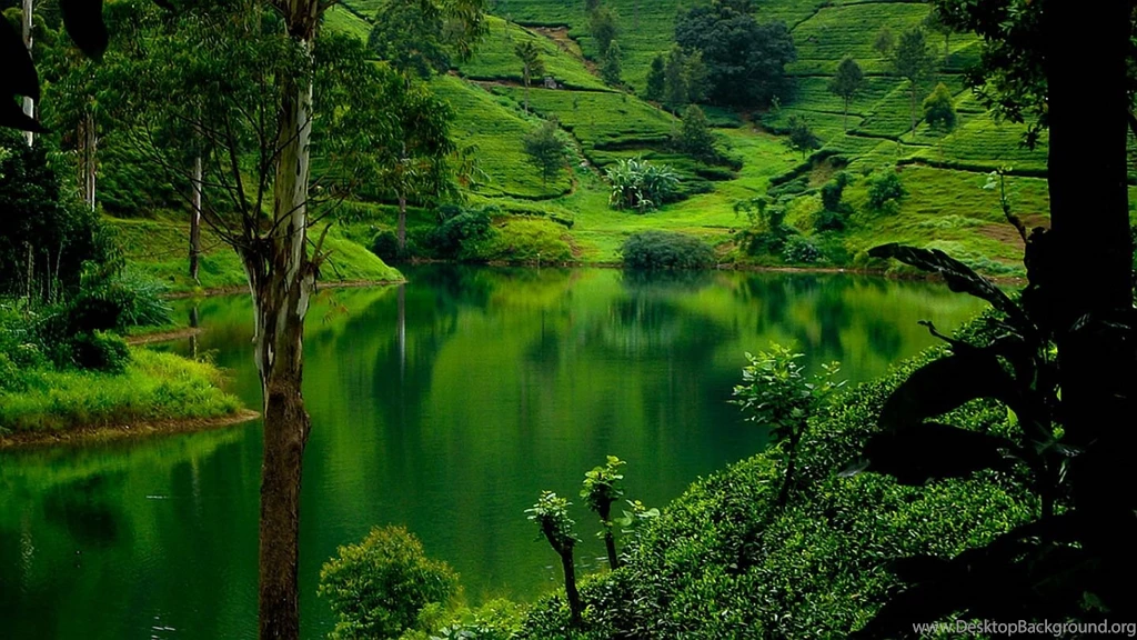 Lanka Island And Kalamazoo River